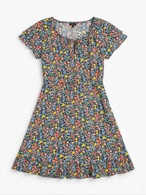 Talbots Petite Floral Fit & Flare Dress Short Sleeve Pastel Spring Summer 8P